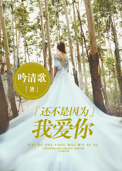 还不是因为我爱你章节列表