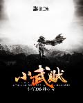 小武贼章节列表