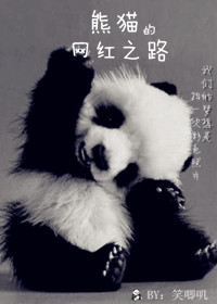 熊猫的网红之路章节列表
