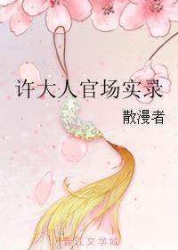 许大人官场实录章节列表