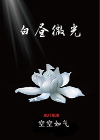 白昼微光章节列表