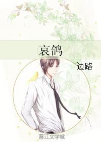 哀鸽章节列表