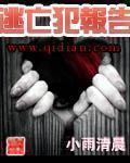 逃亡犯报告章节列表