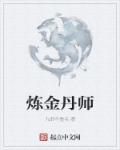 炼金丹师章节列表