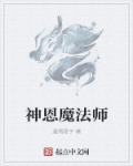 神恩魔法师章节列表