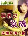 紫魂章节列表