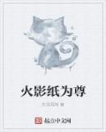 火影纸为尊章节列表