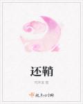 还鞘章节列表