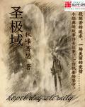 圣极域章节列表