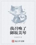 我召唤了御坂美琴章节列表