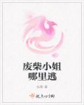 废柴小姐哪里逃章节列表