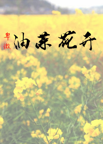 卑微：油菜花开章节列表