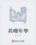 若瑾年华章节列表