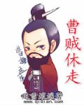 曹贼休走章节列表