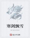 寒剑飘雪章节列表