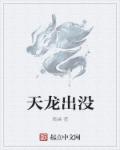 天龙出没章节列表