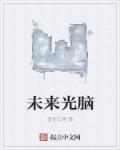 未来光脑章节列表