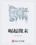 崛起微末章节列表