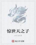 惊世天之子章节列表