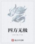 四方无极章节列表
