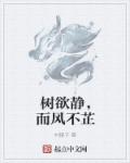 树欲静，而风不芷章节列表
