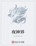 夜神界章节列表