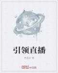 引领直播章节列表