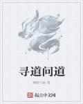 寻道问道章节列表