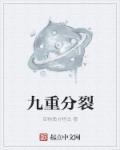 九重分裂章节列表