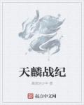 天麟战纪章节列表