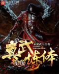 真武炼体系统章节列表