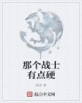 那个战士有点硬章节列表