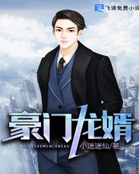 豪门龙婿章节列表