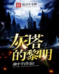 灰塔的黎明章节列表