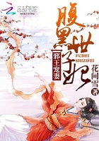 腹黑世子妃日常章节列表