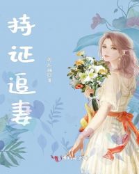 持证追妻章节列表