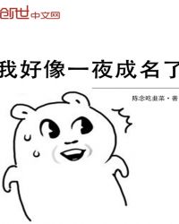 我好像一夜成名了章节列表