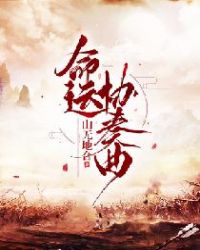 命运协奏曲章节列表