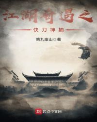 江湖奇遇之快刀神捕章节列表