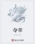 夺萃章节列表
