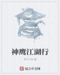 神鹰江湖行章节列表