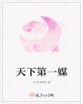 天下第一媒章节列表