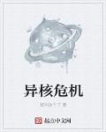 异核危机章节列表