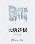 大唐遗民章节列表
