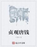 贞观唐钱章节列表