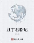 丑丁君临记章节列表