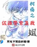 柯南之佐藤警官是我姐章节列表