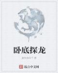 卧底探龙章节列表