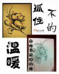 抓不住的温暖章节列表
