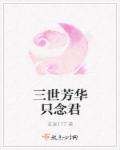 三世芳华只念君章节列表